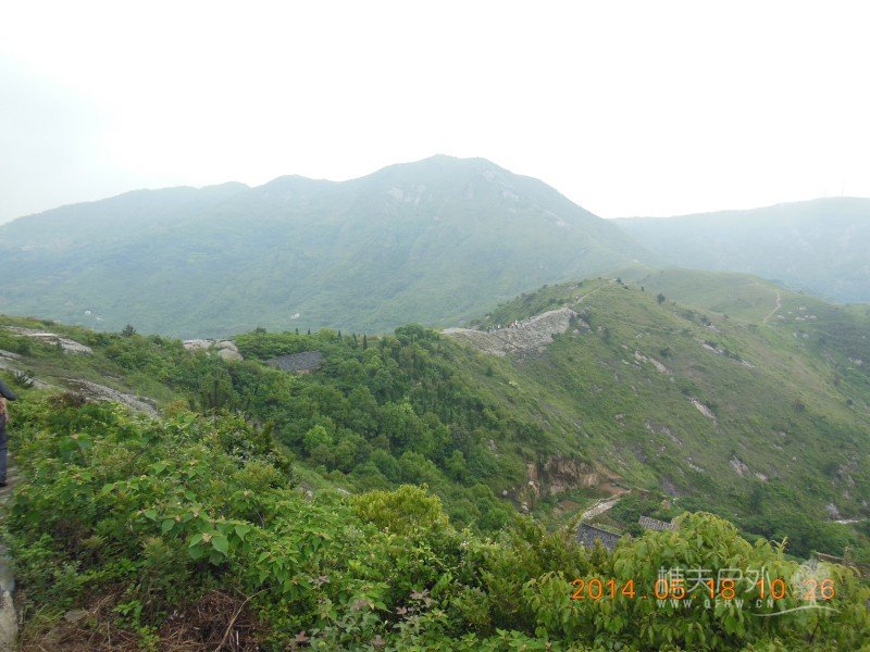 DSCN7349.jpg