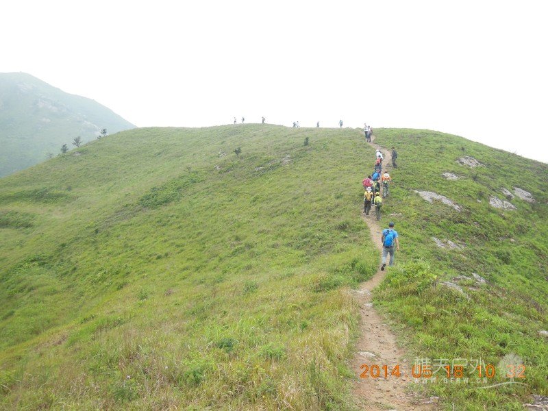 DSCN7353.jpg