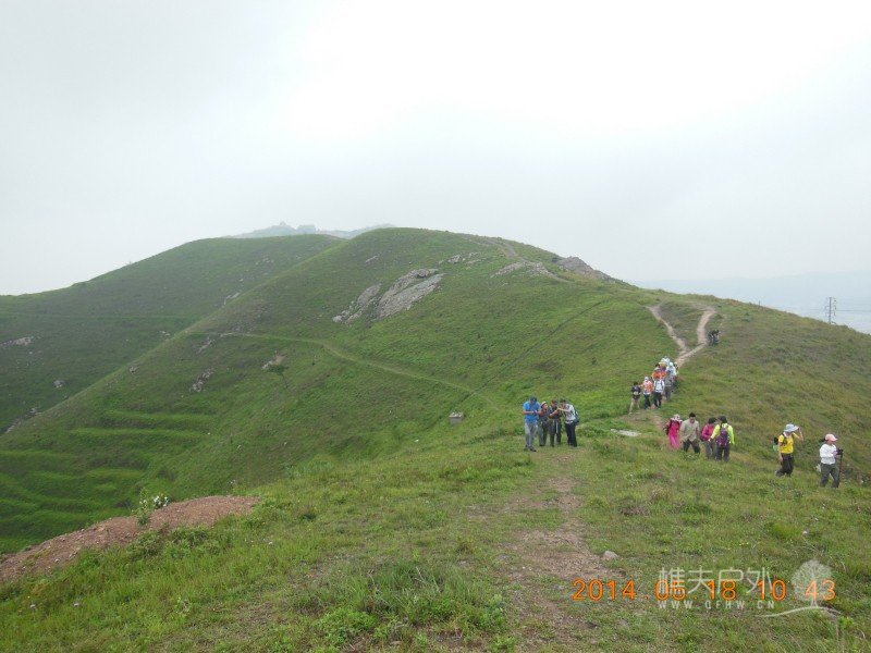 DSCN7363.jpg