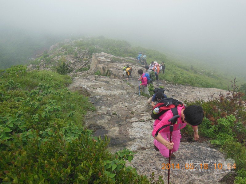 DSCN7380.jpg