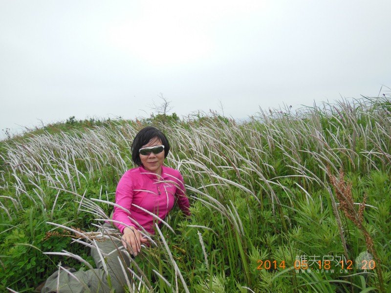 DSCN7517.jpg