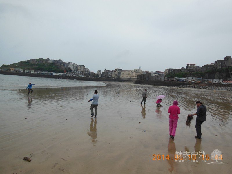 DSCN7568.jpg