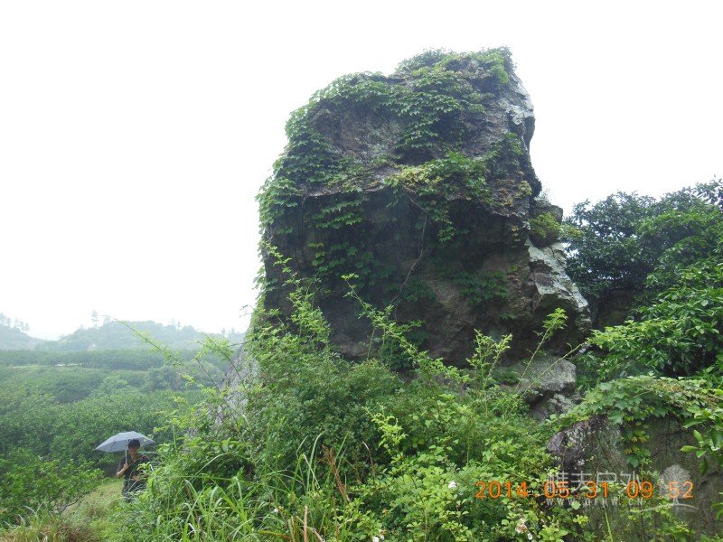 DSCN7615.jpg