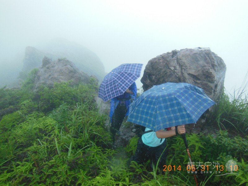 DSCN7662.jpg