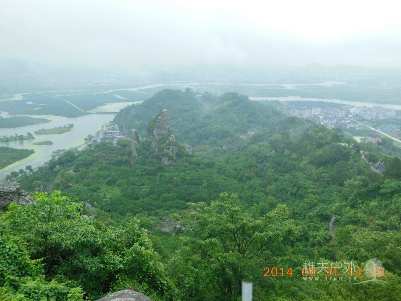 DSCN7737.jpg