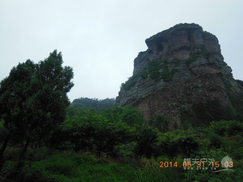 DSCN7776.jpg