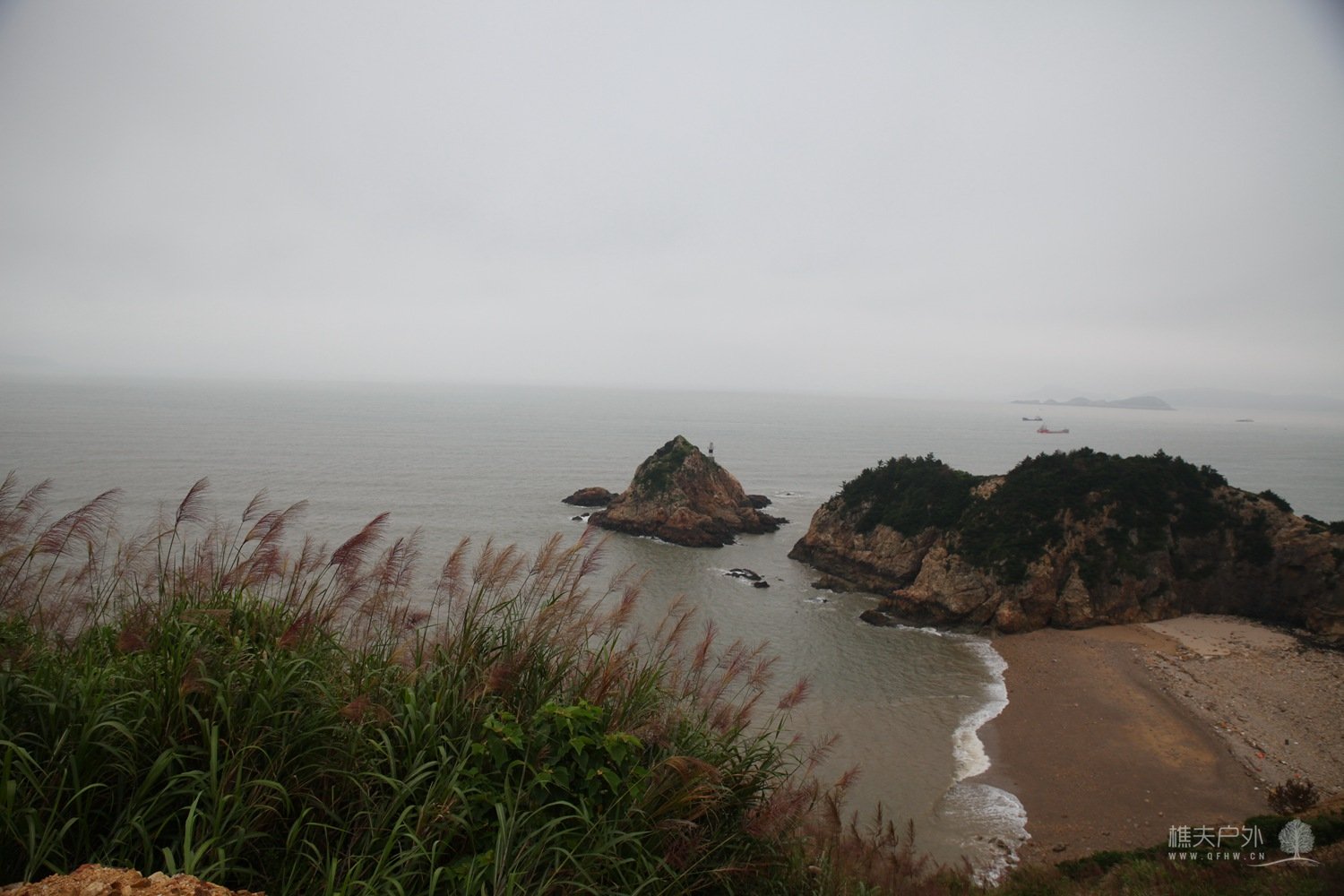 IMG_5115.jpg