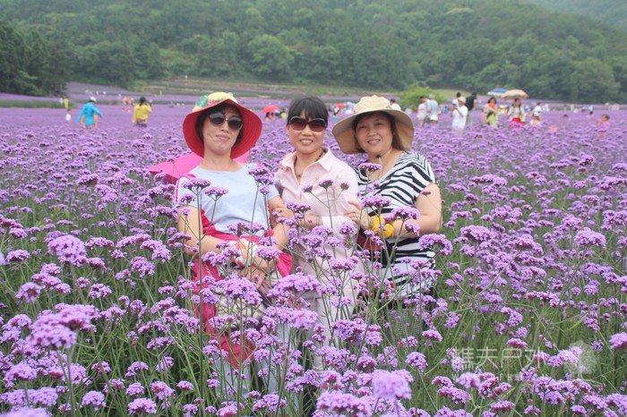 nEO_IMG_IMG_9626.jpg