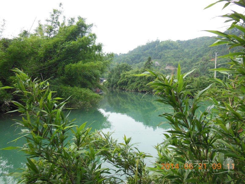 DSCN8131.jpg
