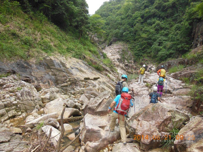 DSCN8142.jpg