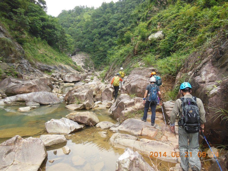 DSCN8141.jpg