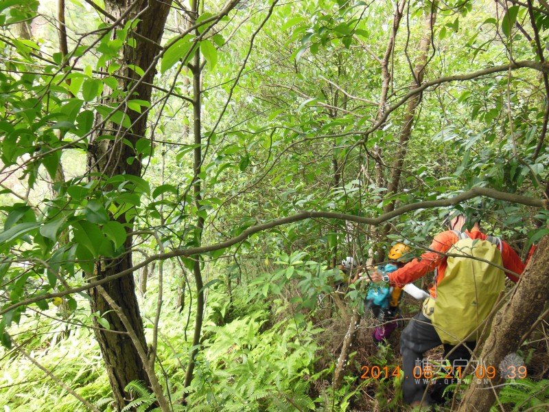 DSCN8153.jpg