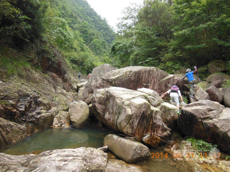 DSCN8219.jpg