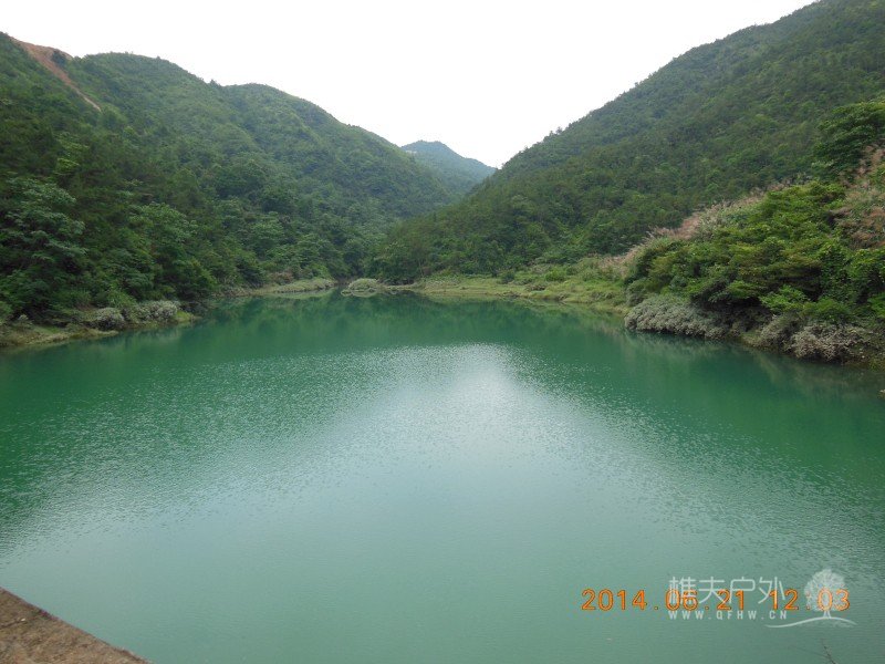DSCN8238.jpg