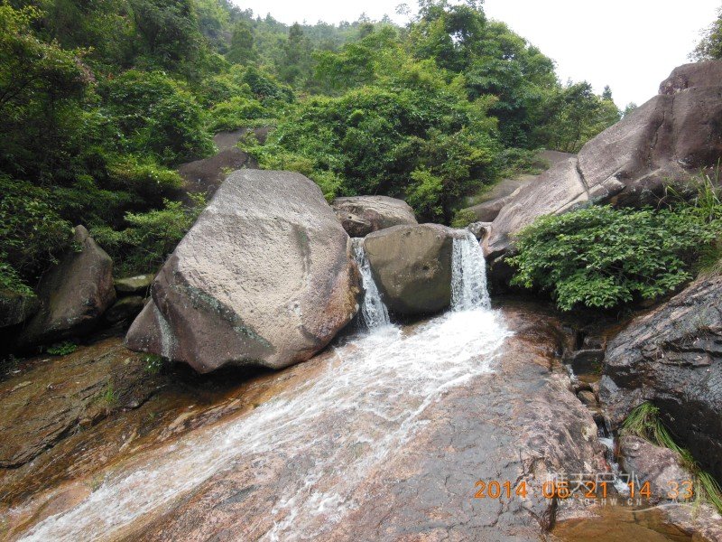 DSCN8336.jpg