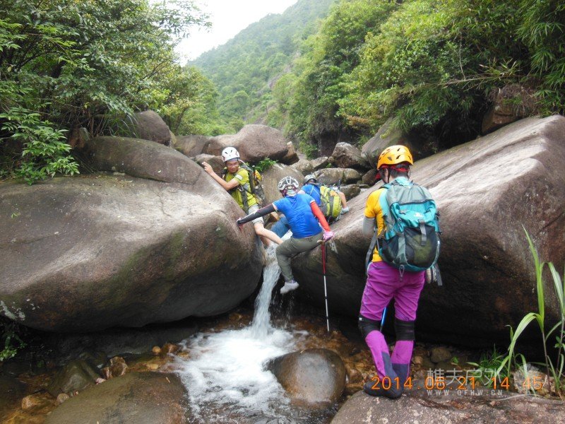 DSCN8352.jpg