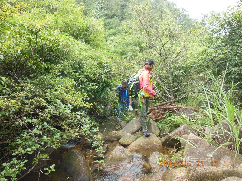 DSCN8381.jpg