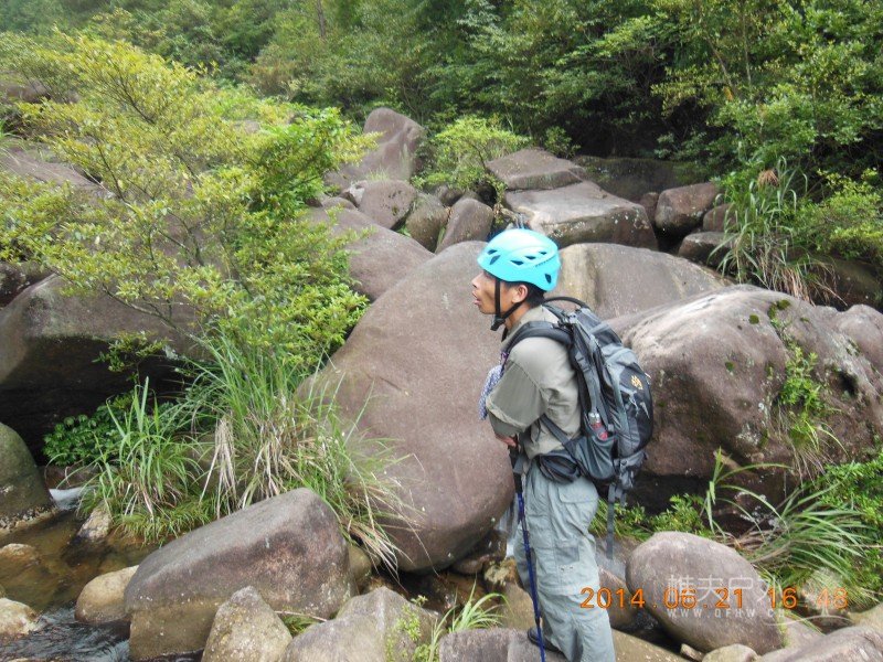 DSCN8394.jpg