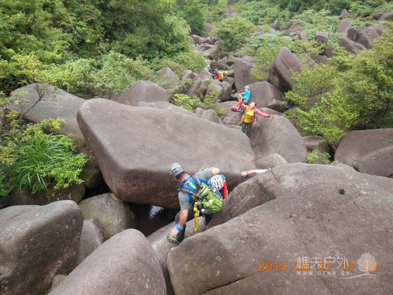 DSCN8415.jpg