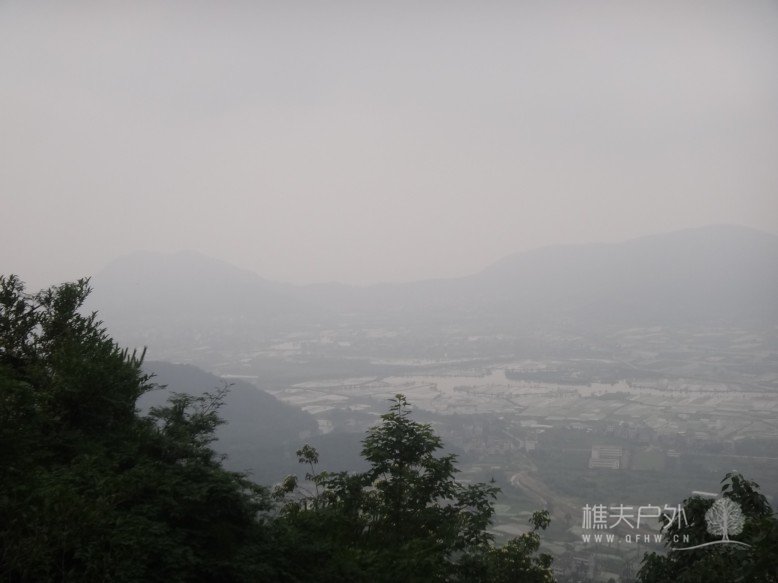DSC02354.jpg