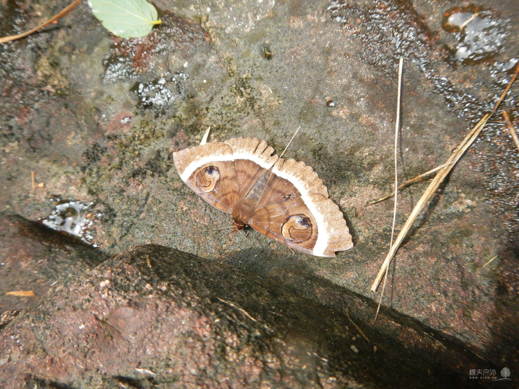DSCN9188.JPG