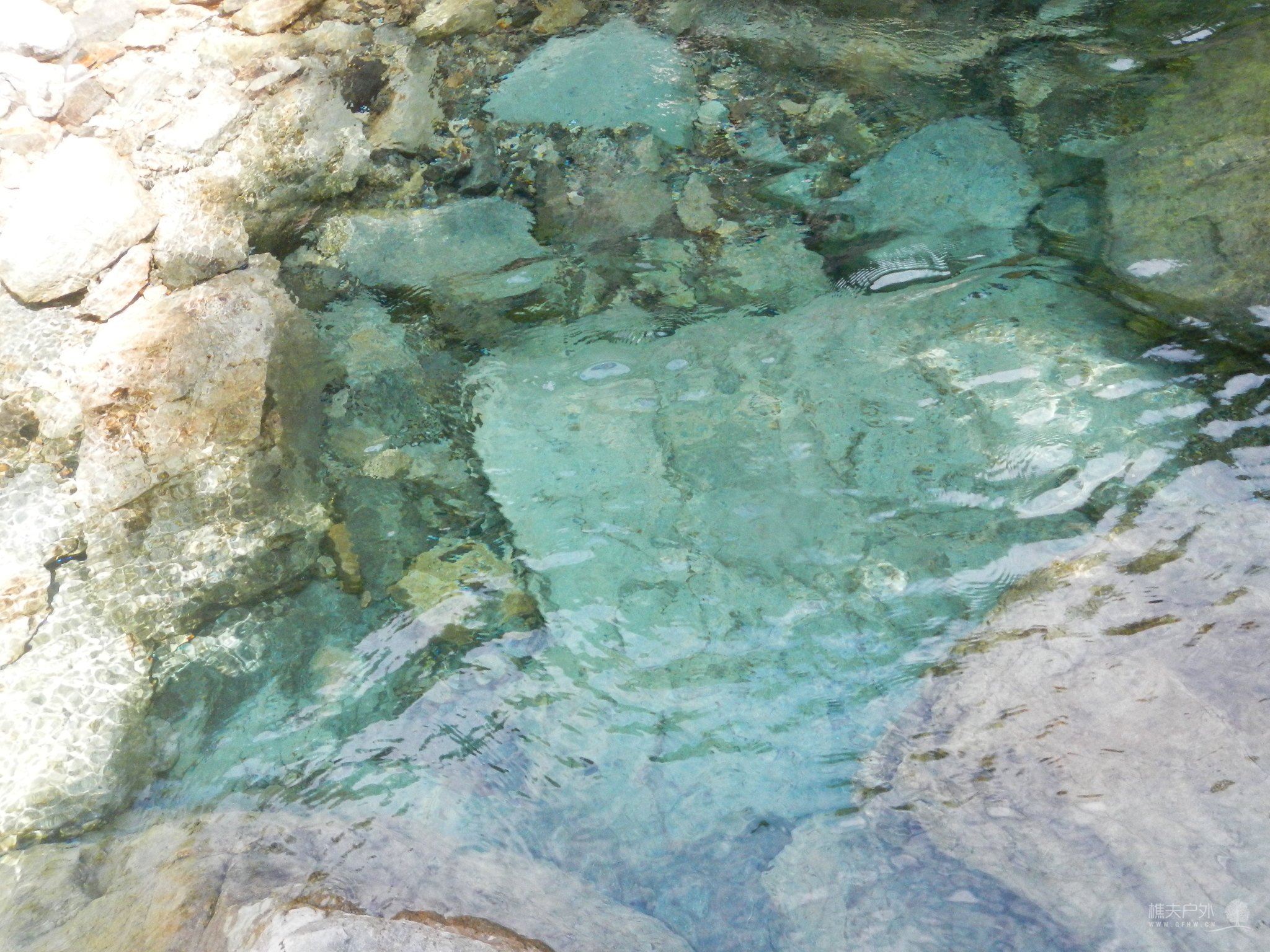 DSCN9251.JPG