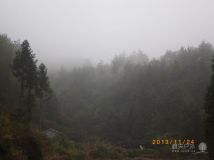 茶园坑-高坑-前坑峡谷（谷庄）环转探路
