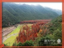 2012.12.16临海桐坑及红杉林雨中漫步