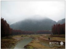 临海桐坑红杉林