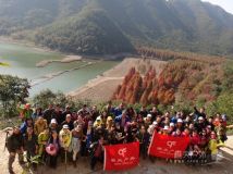 临海桐坑红树林休闲活动131201