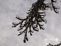 初雪漫步括苍山121230