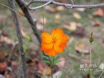 天台十门坑穿越【2012.10.28】