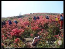 2013.4.13.温岭上堡山赏杜鹃花穿越至羊角洞
