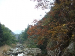 2009-12-13-筋竹涧