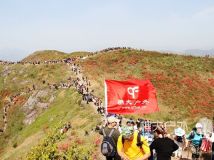 温岭上堡山至羊角洞赏杜鹃花之旅